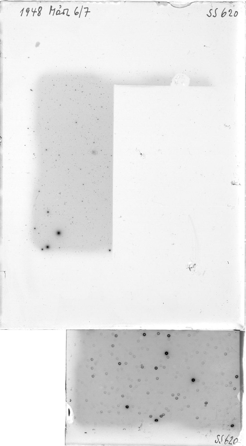 Plate preview