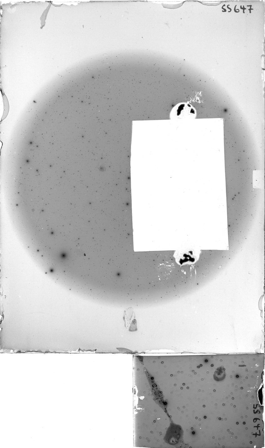 Plate preview