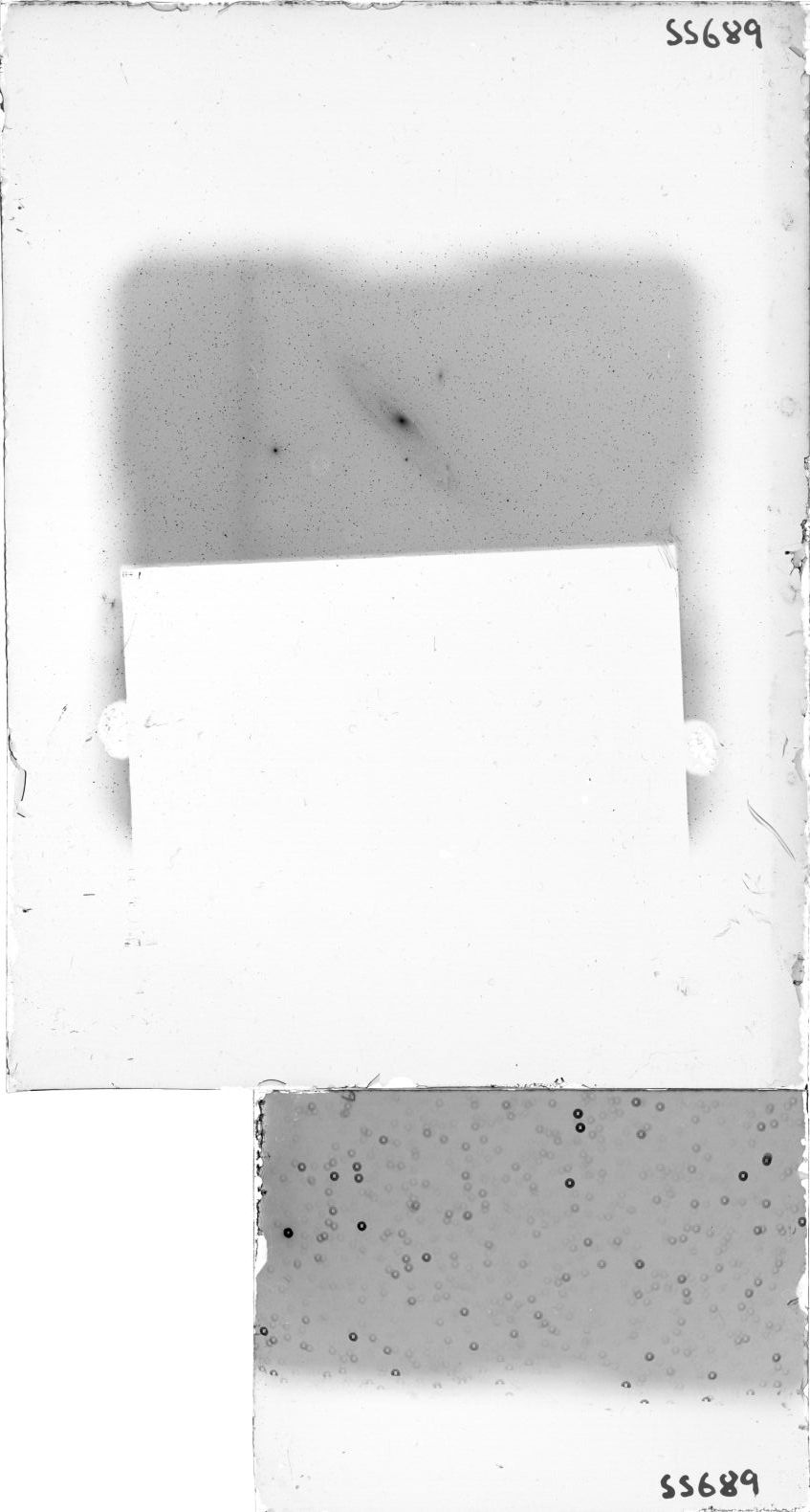 Plate preview
