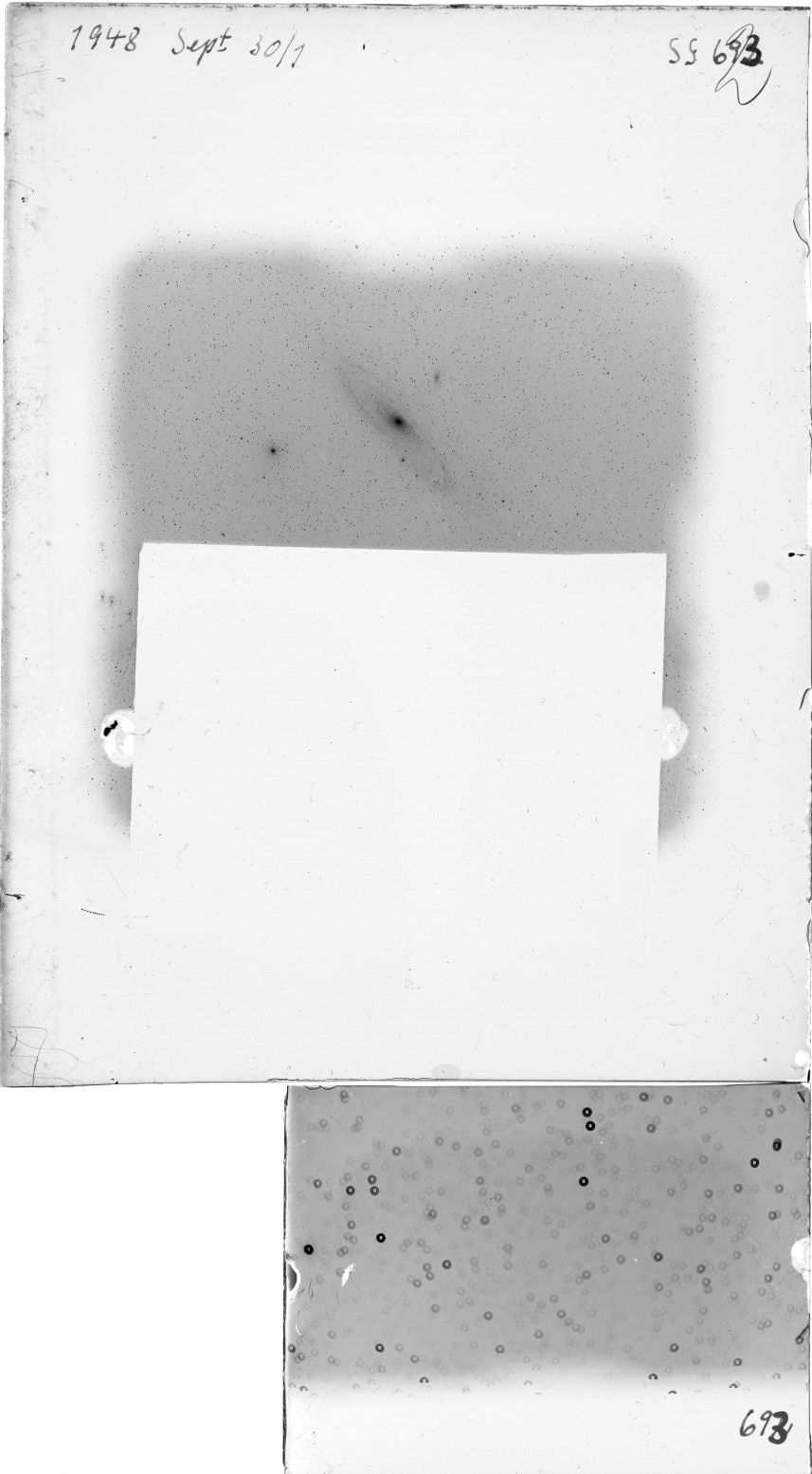 Plate preview
