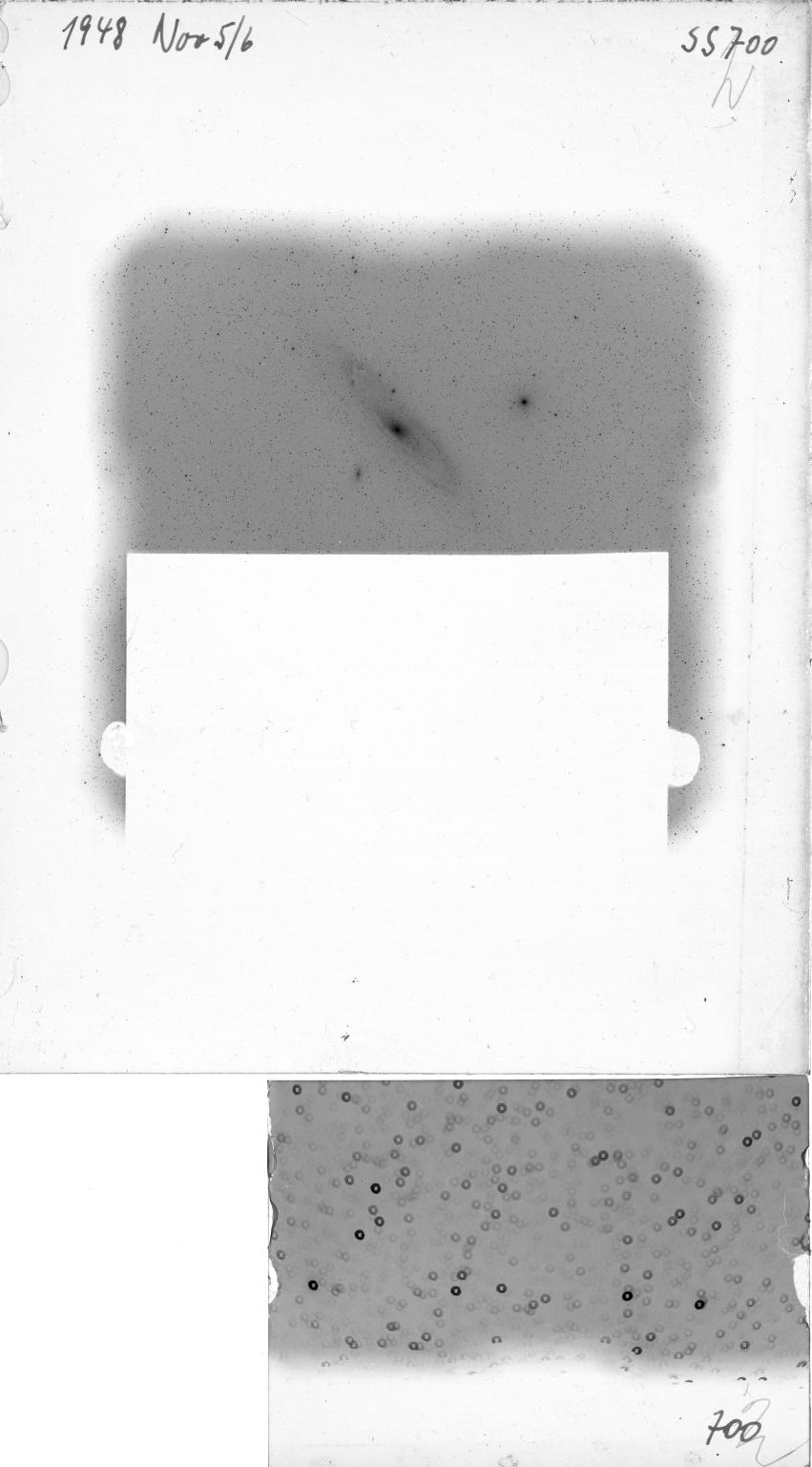 Plate preview