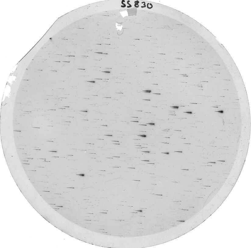 Plate preview