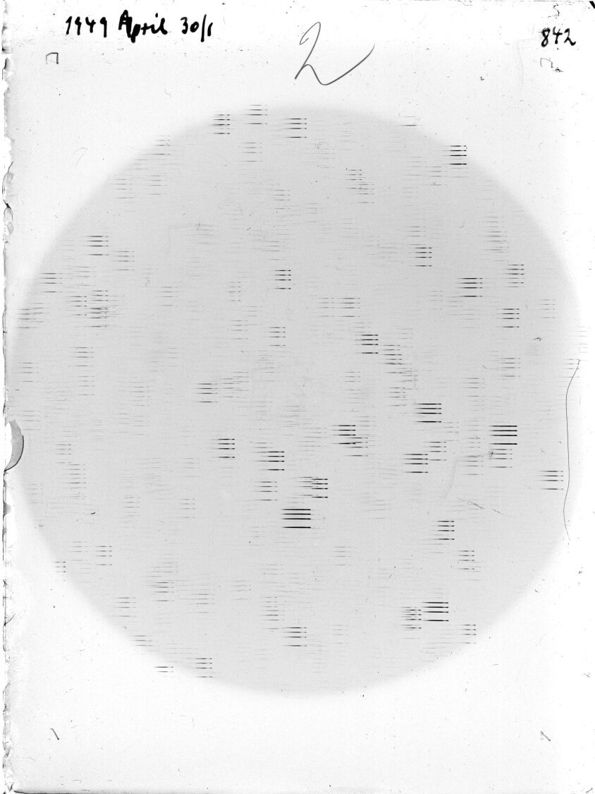 Plate preview