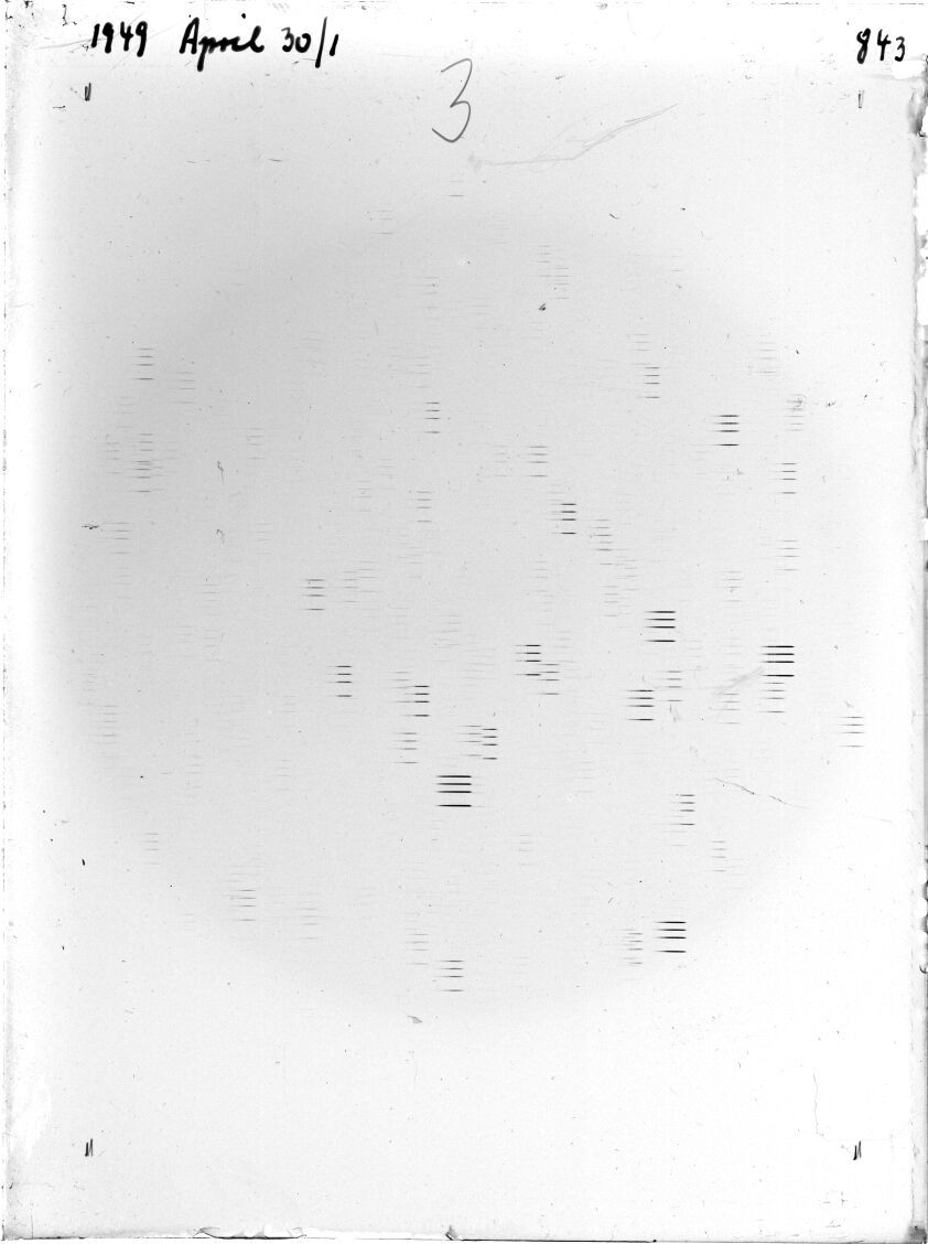 Plate preview