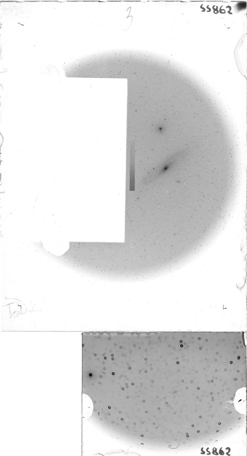 Plate preview