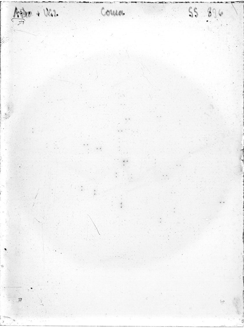 Plate preview