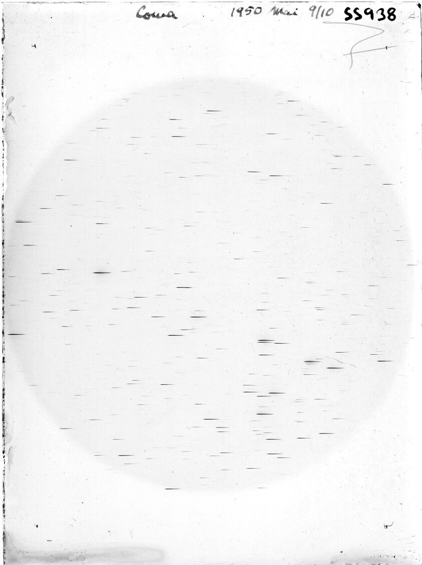 Plate preview