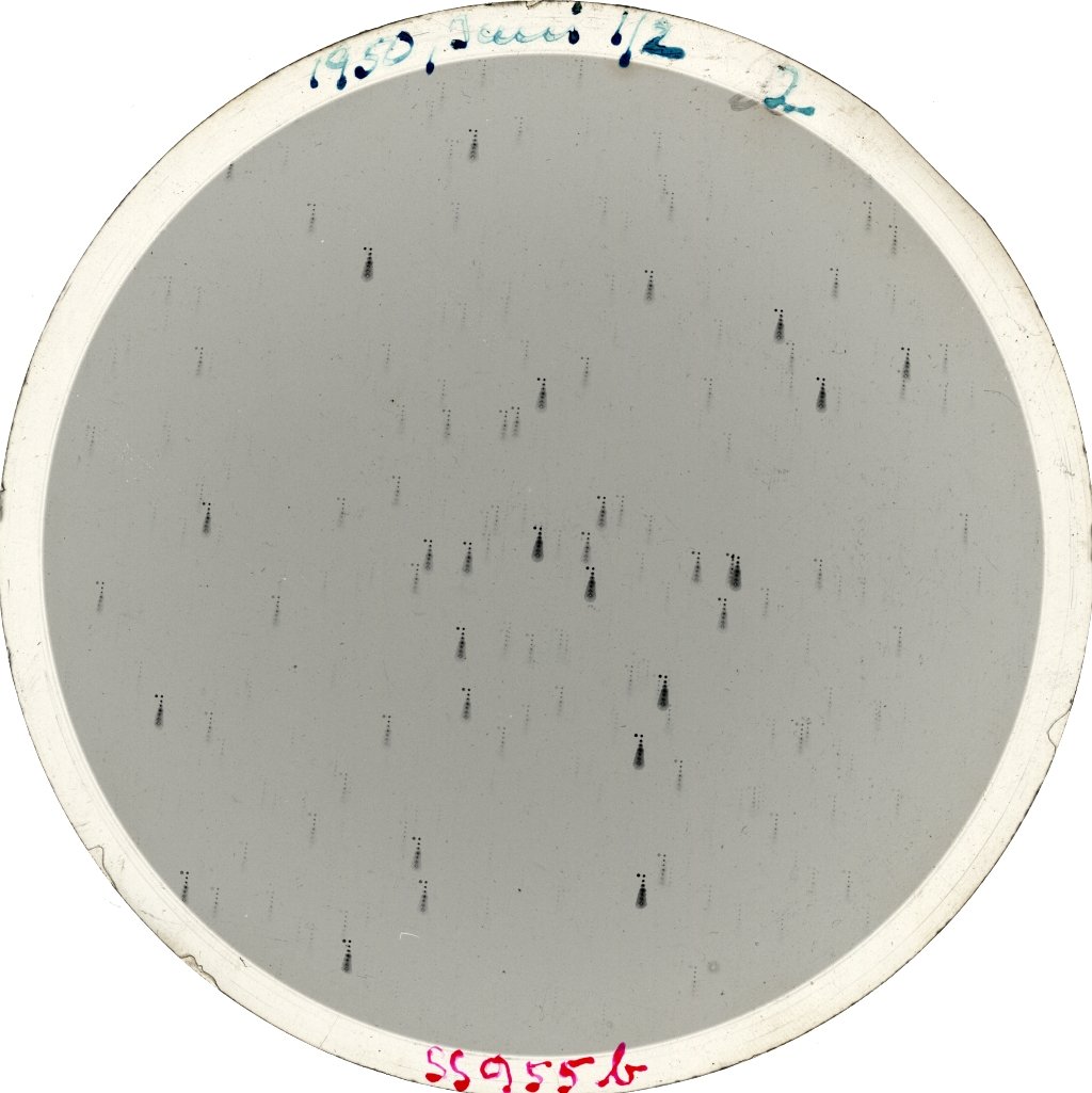 Plate preview
