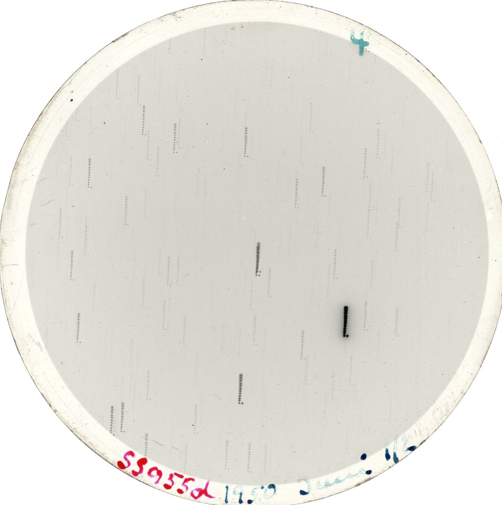 Plate preview