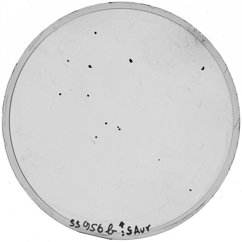 Plate preview