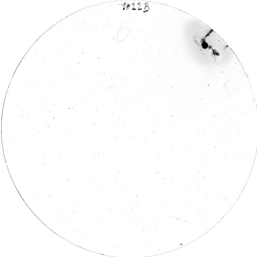 Plate preview