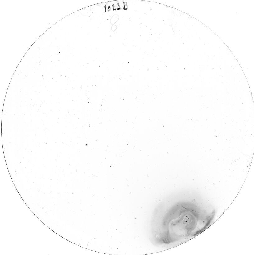 Plate preview