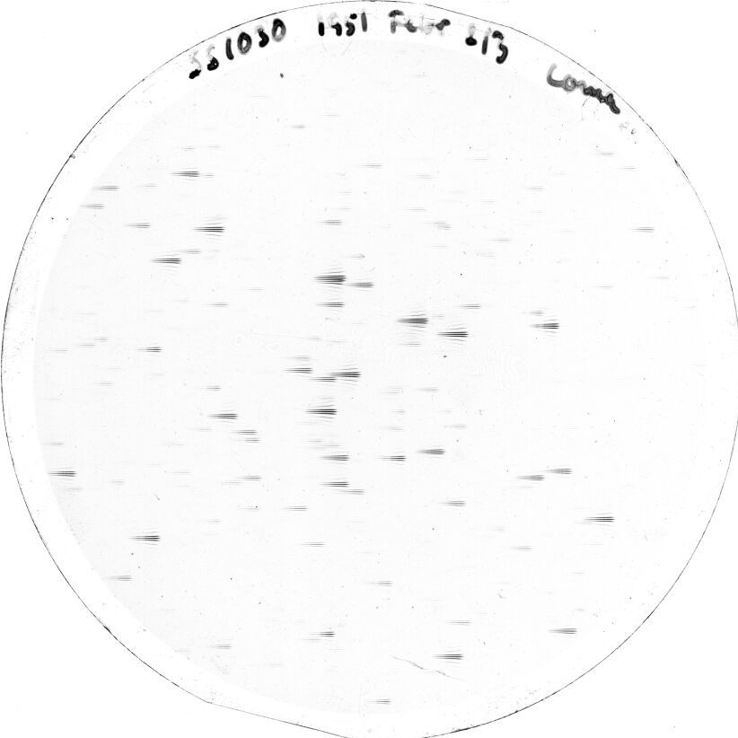 Plate preview