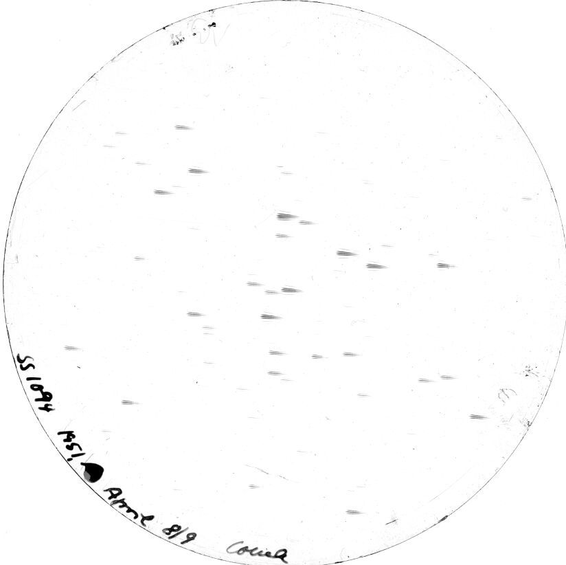 Plate preview