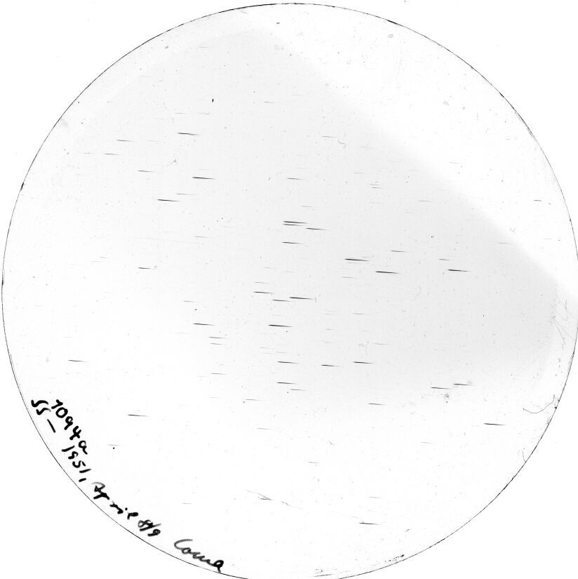 Plate preview