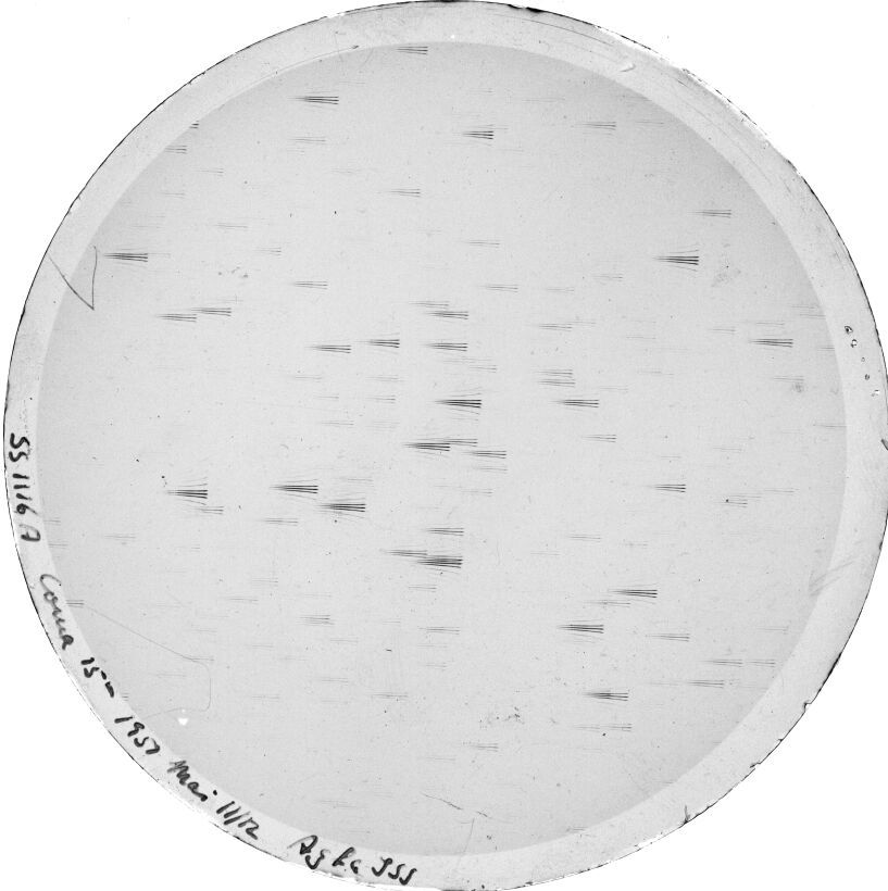 Plate preview
