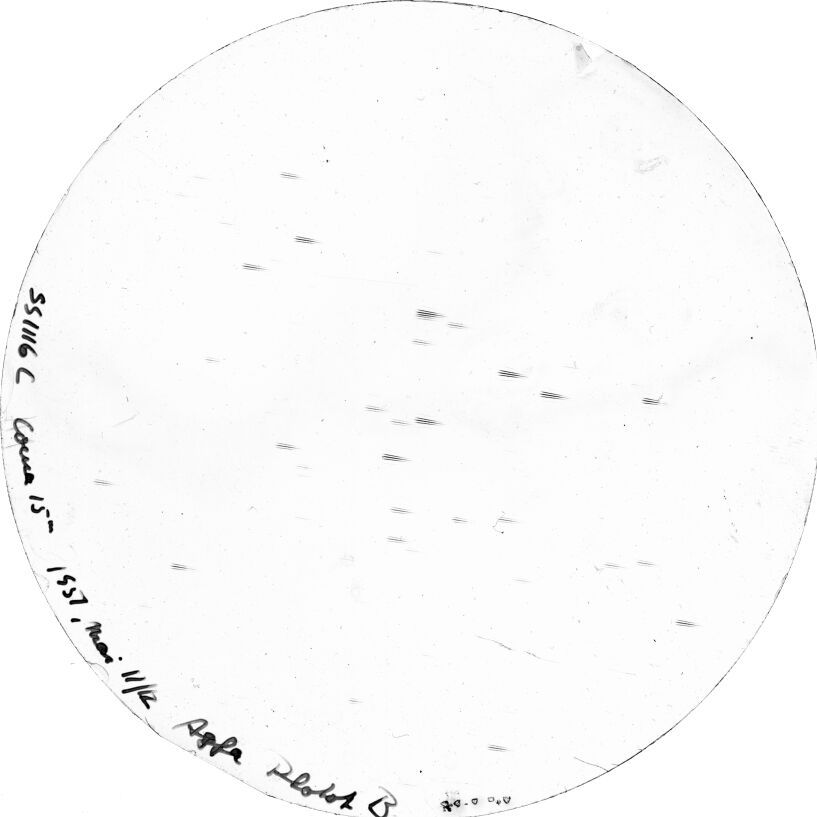 Plate preview