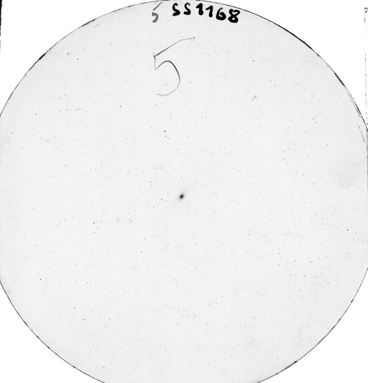 Plate preview