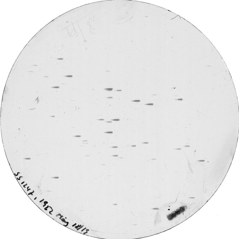 Plate preview