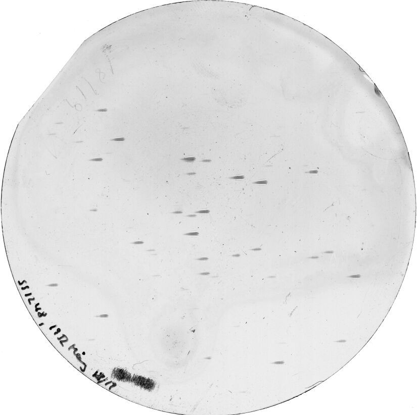 Plate preview