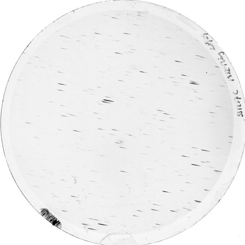 Plate preview