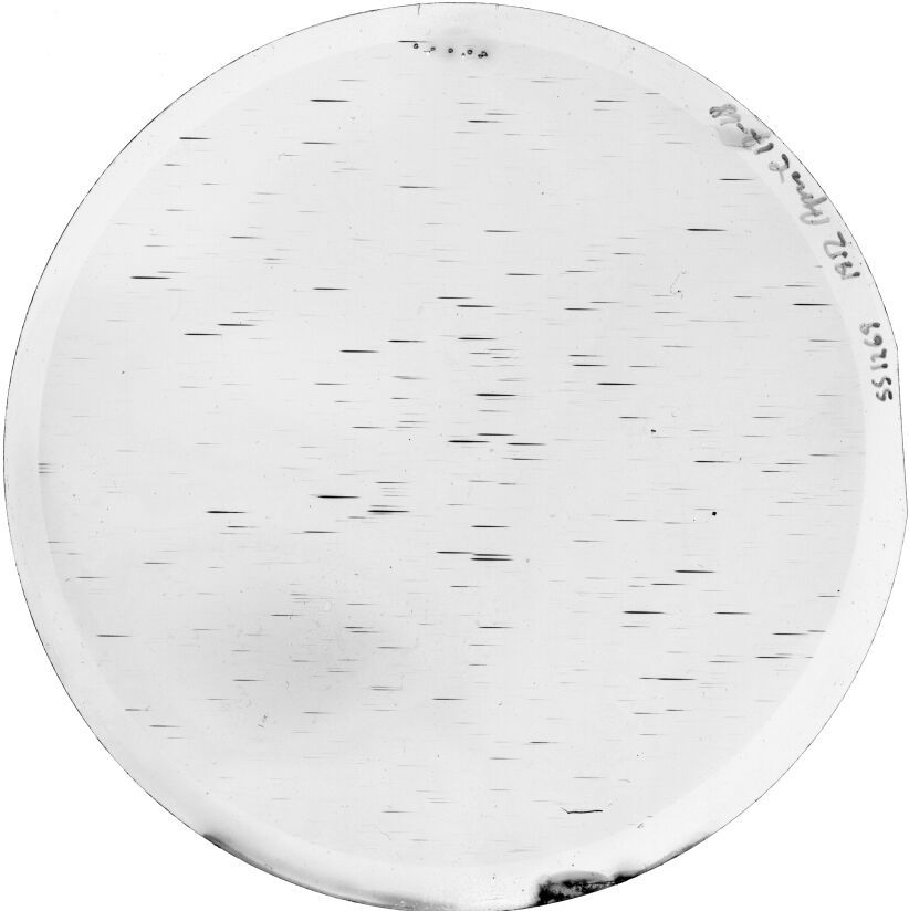 Plate preview