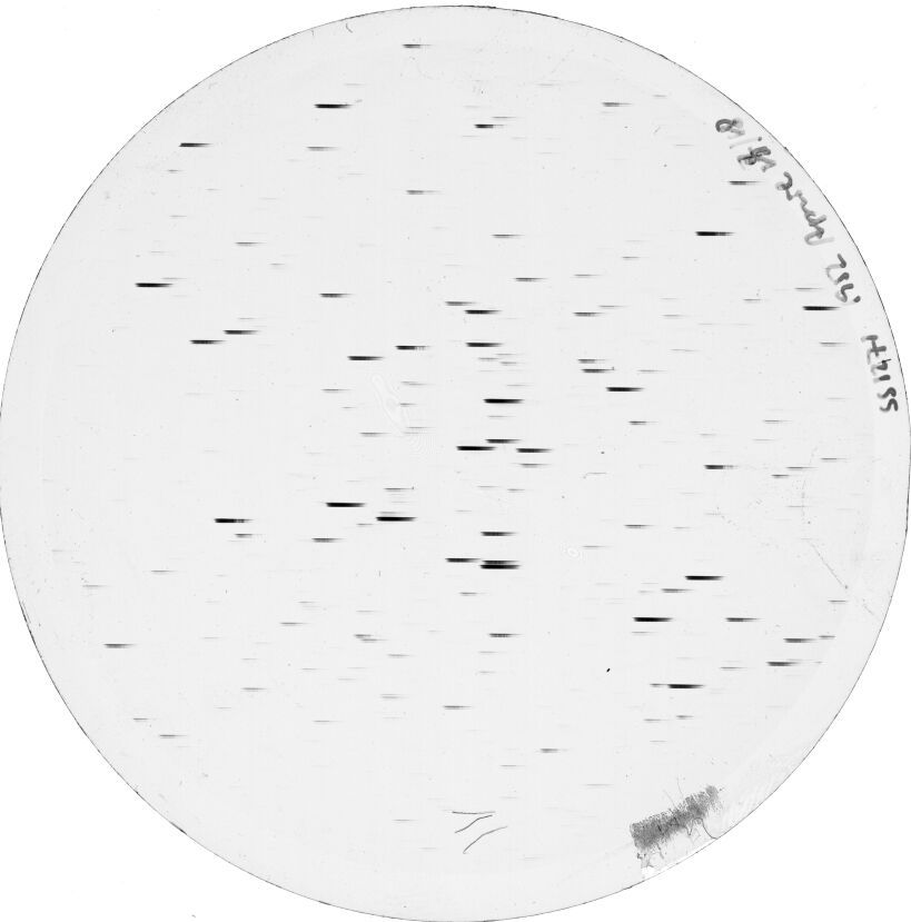 Plate preview