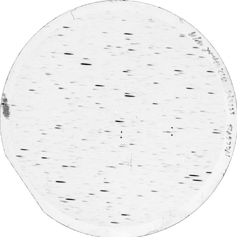 Plate preview