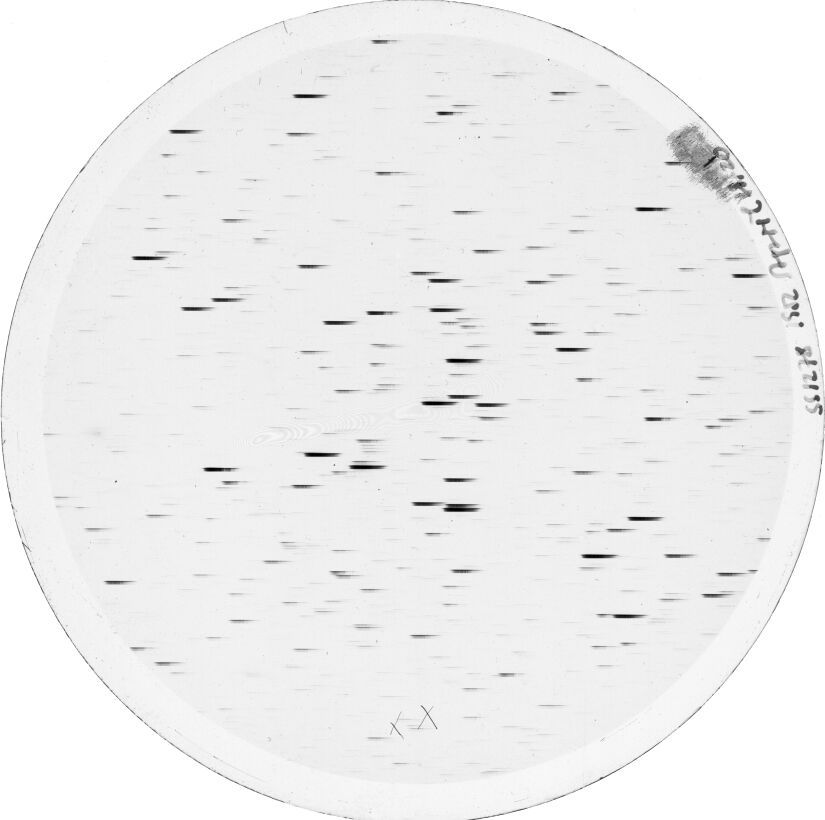 Plate preview