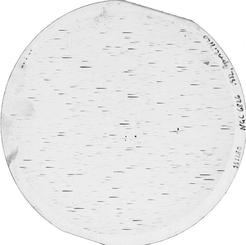 Plate preview
