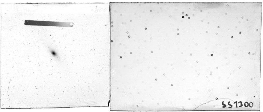 Plate preview