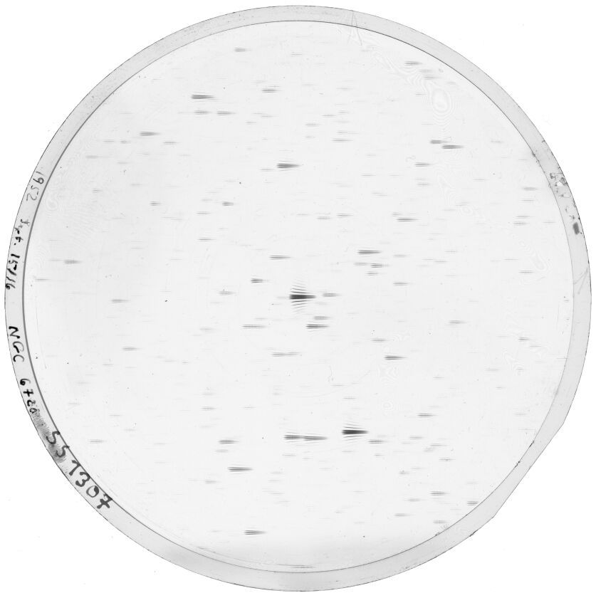 Plate preview