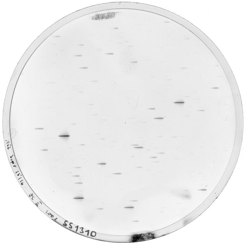Plate preview