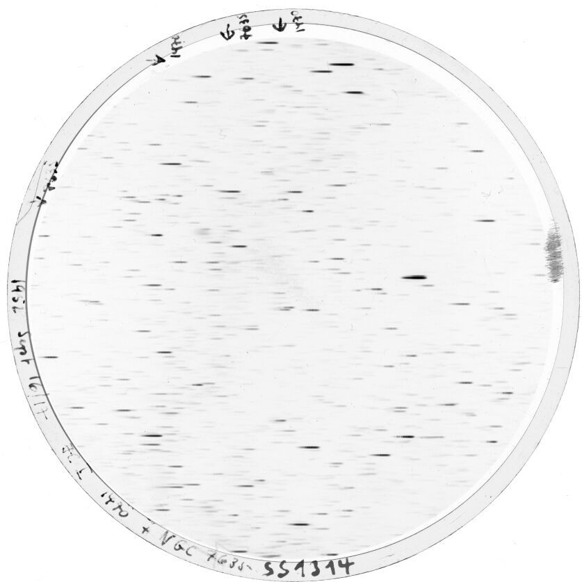Plate preview