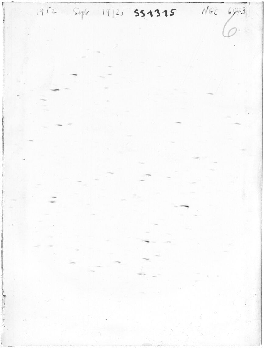 Plate preview