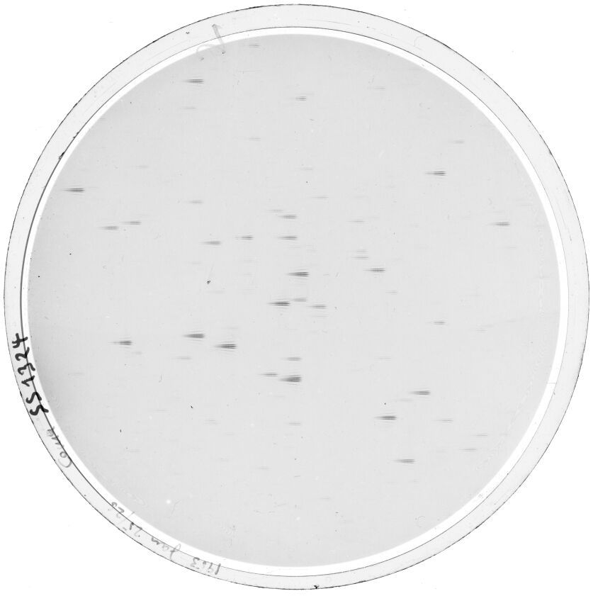 Plate preview