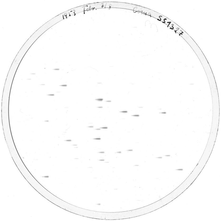 Plate preview