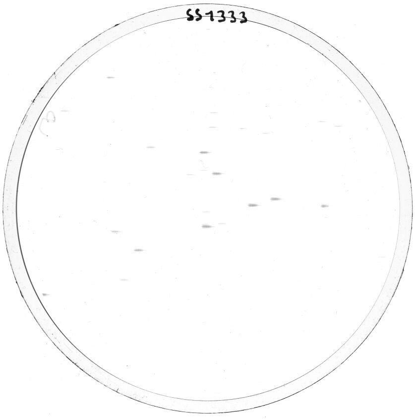 Plate preview