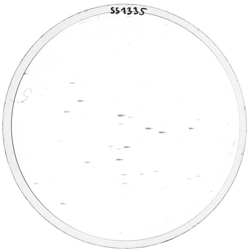 Plate preview