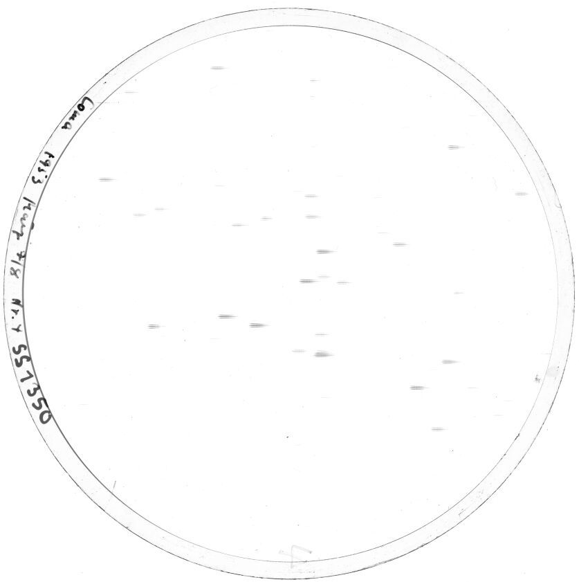 Plate preview