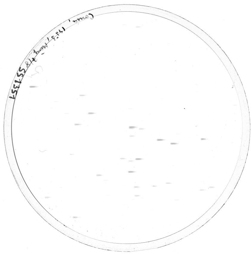Plate preview