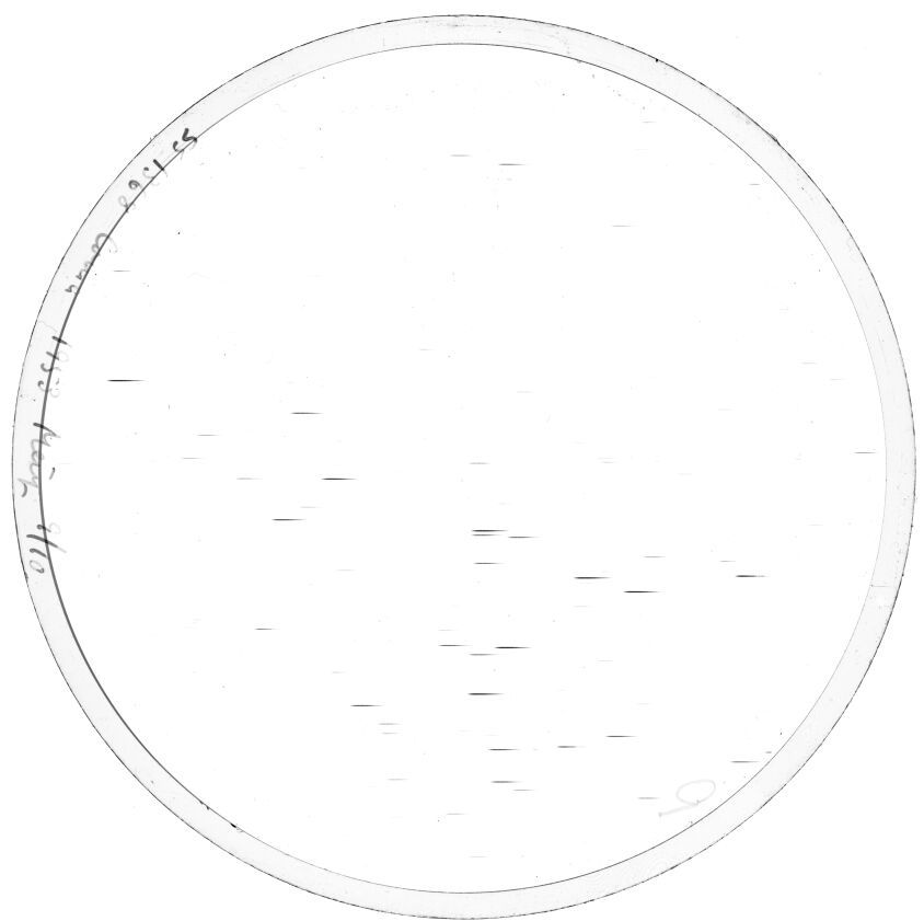 Plate preview