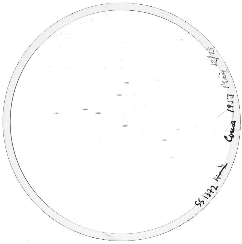 Plate preview