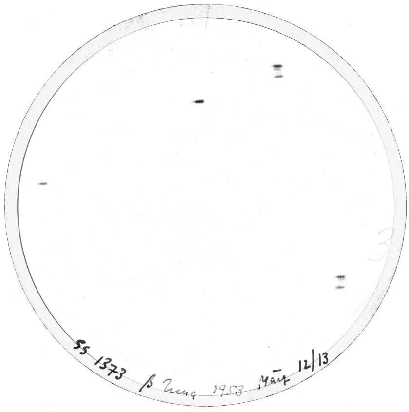 Plate preview