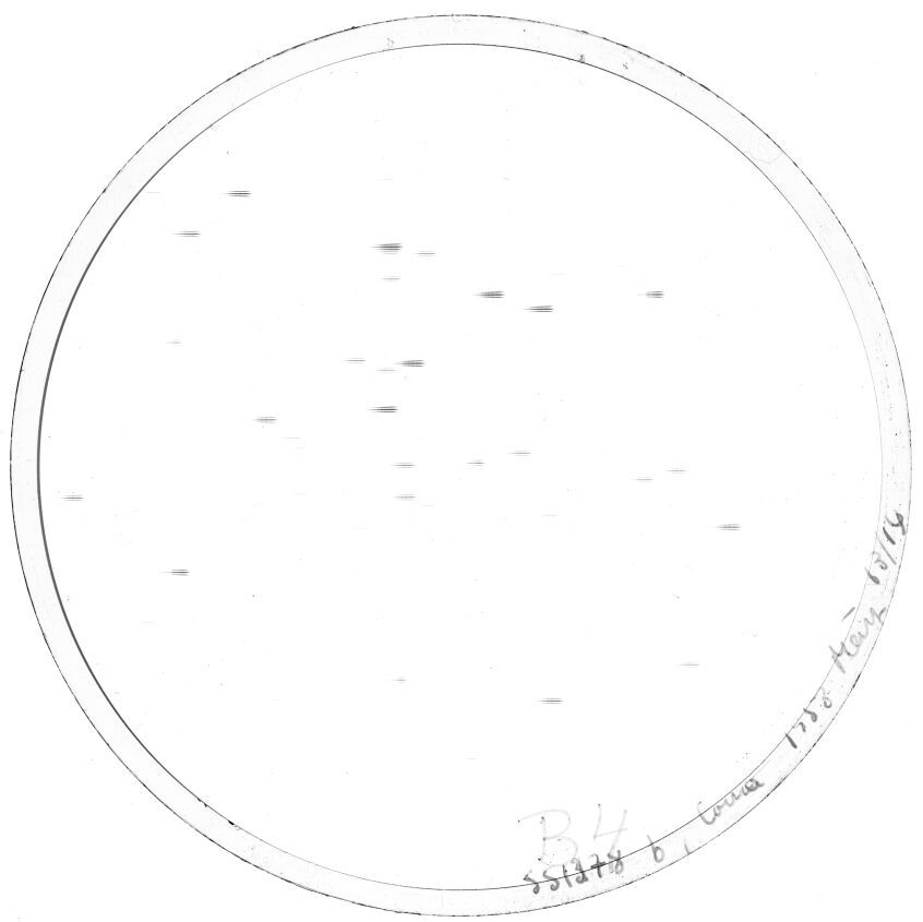Plate preview