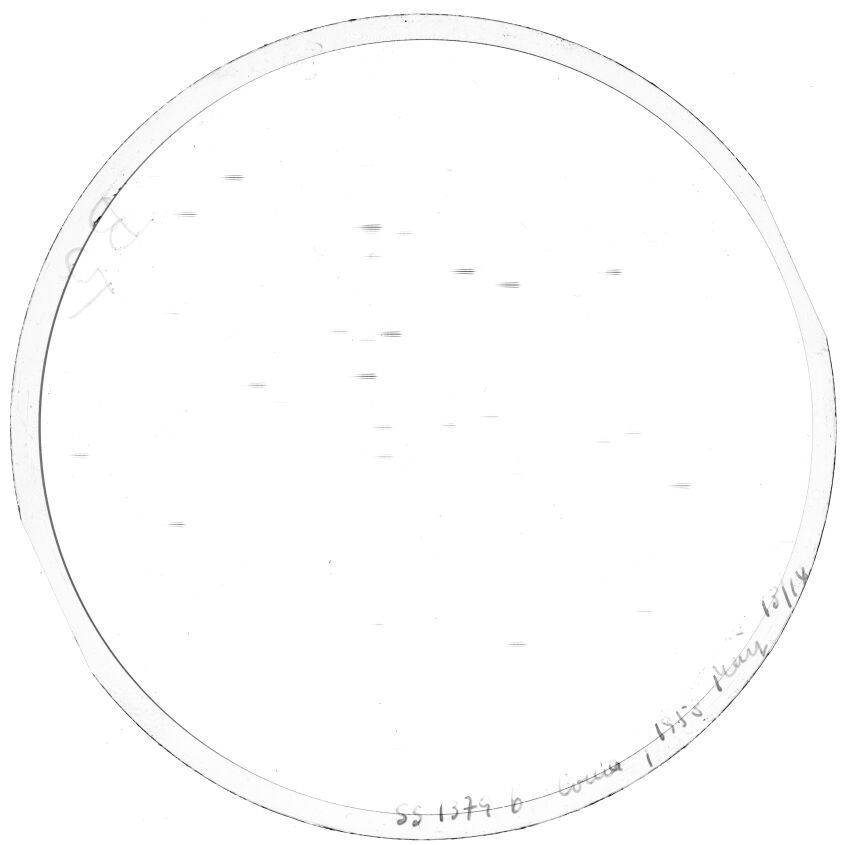 Plate preview