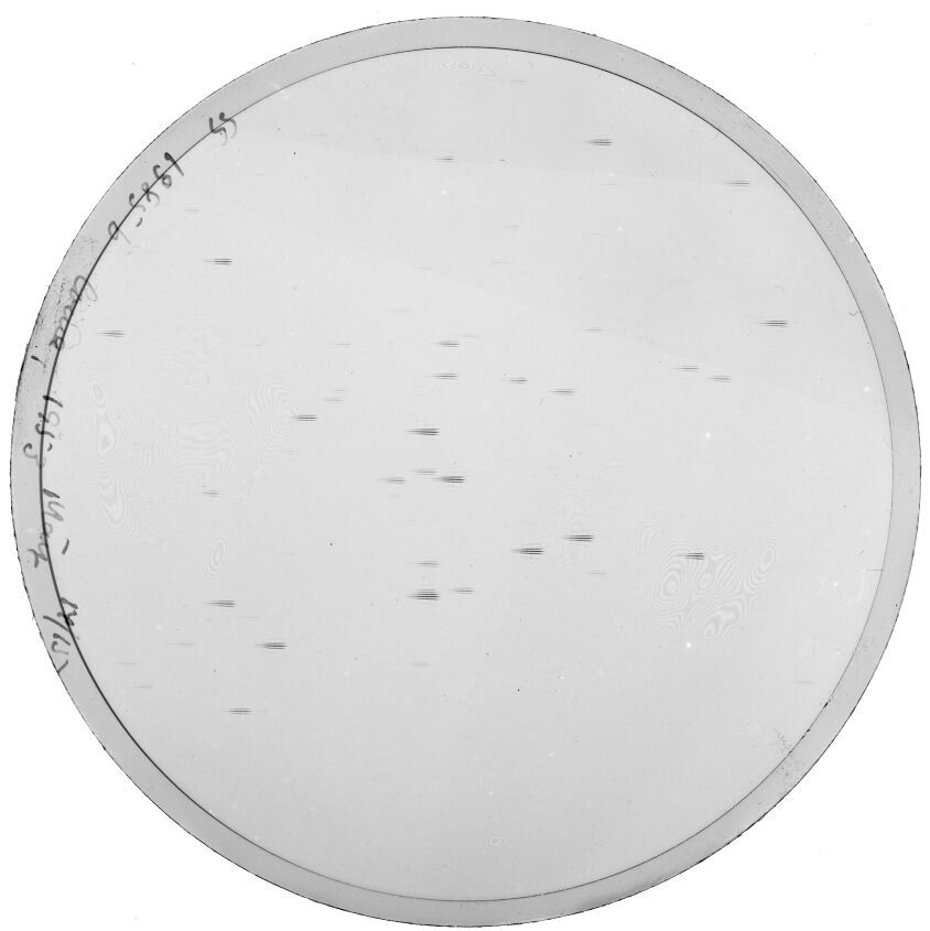 Plate preview