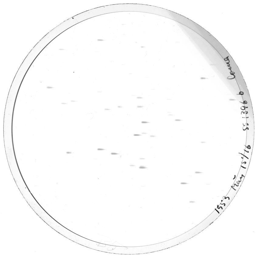 Plate preview