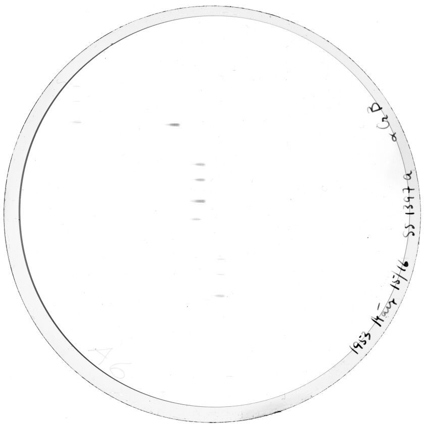 Plate preview
