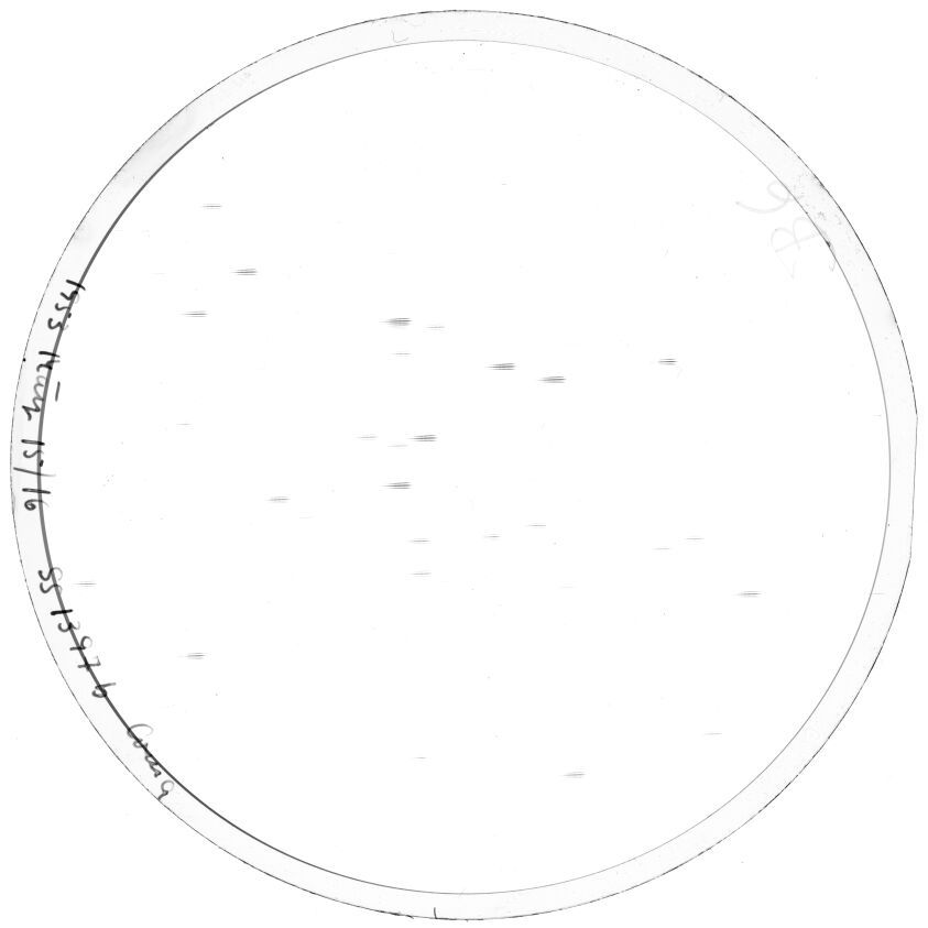 Plate preview
